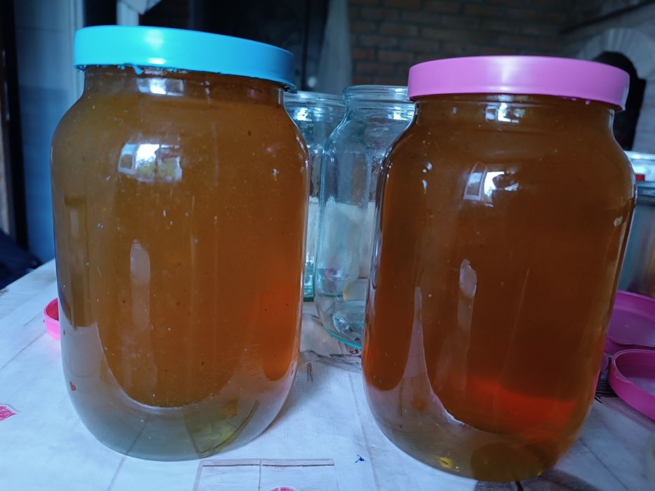 Продам Свіжий мед, свіжовикачаний мед