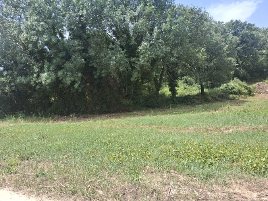 Venda de terreno rustico.