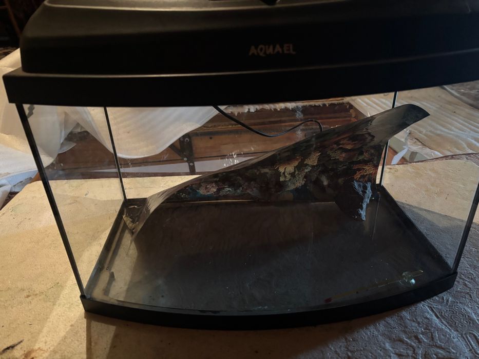 Akwarium Aquael 39l KOMPLETNE