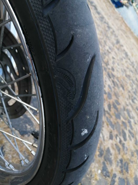 Harley davidson softail