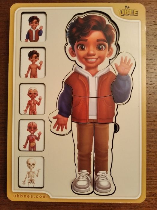 ПАЗЗЛЫ "Анатомия. Организм человека. Строение тела"