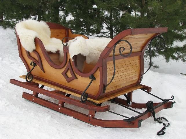 Sanie konne -wszystko dla sportu