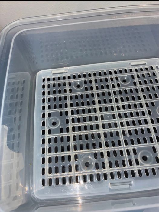 Maquinha cozinhar a vapor