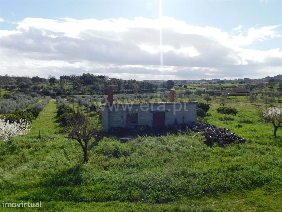 Quinta / Fundão, Quintas da Torre