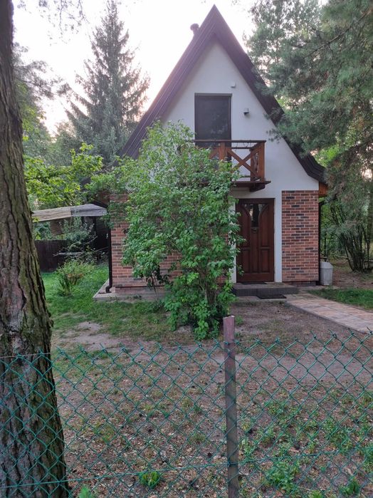 Uff jak gorąco,  Modrzewiowy domek nad Wkrą czeka