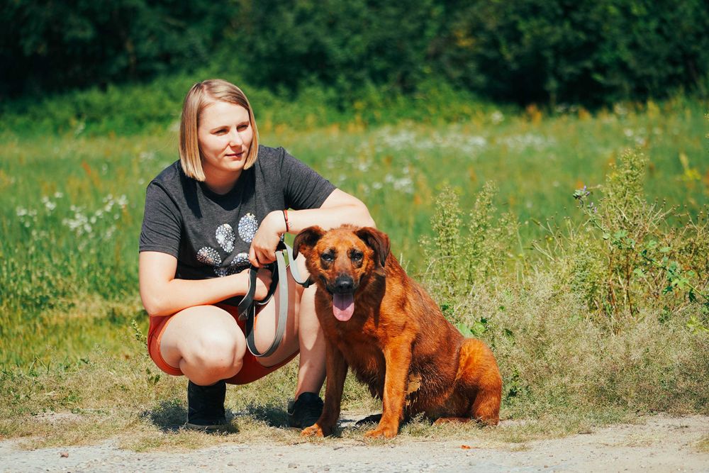 Andrea - sunia szuka domu