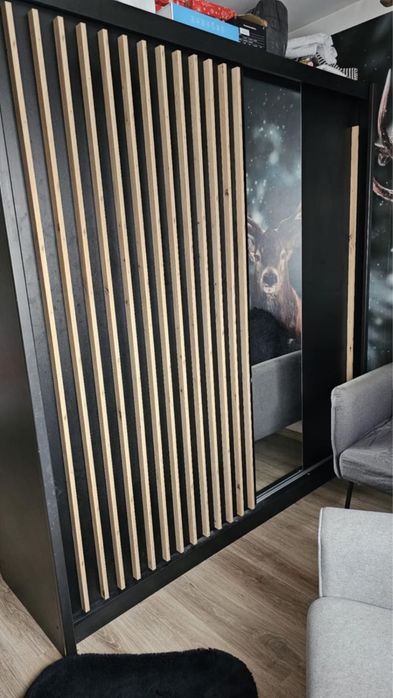 Шафа-купе з дзеркалом