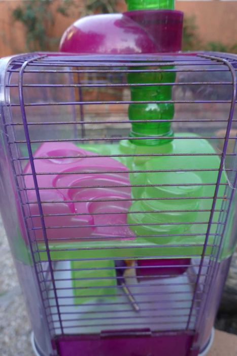 Gaiola hamsters.