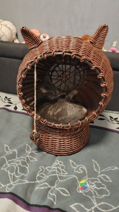 Котобудиночок з ротангу