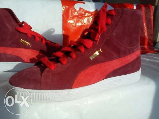 Coleção sapatilhas 41/42/44/45 originais verdadeiras como novas