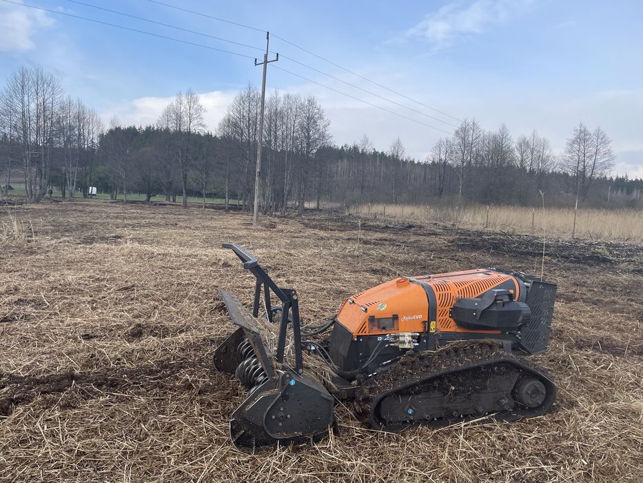 Mulczowanie karczowanie koszenie terenu wycinka drzew inwentaryzacja dendrologiczna