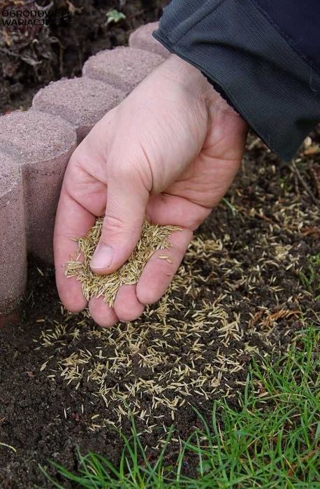 Przesiewana ziemia ogrodowa zakładanie trawników trawy dowóz gratis