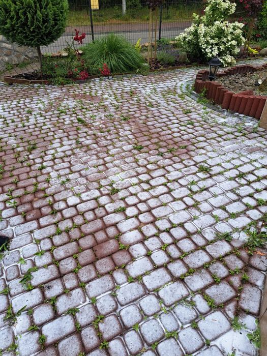 Profesjonalne mycie kostki brukowej, elewacji, dachów