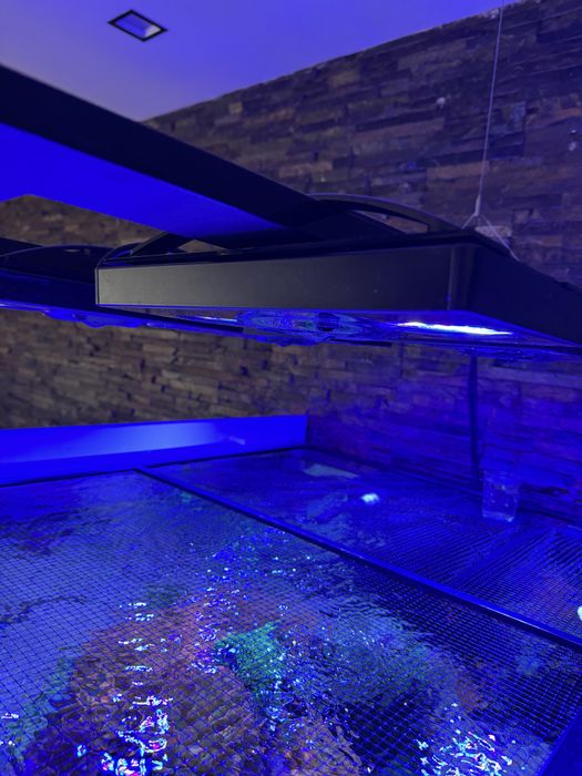 Iluminação aquario ecotech radion gen 3 pro