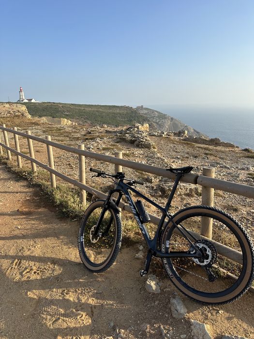 Coluer Poison SL 29”