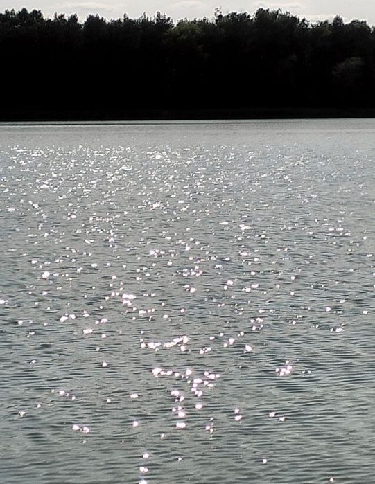 Działki do sprzedaży