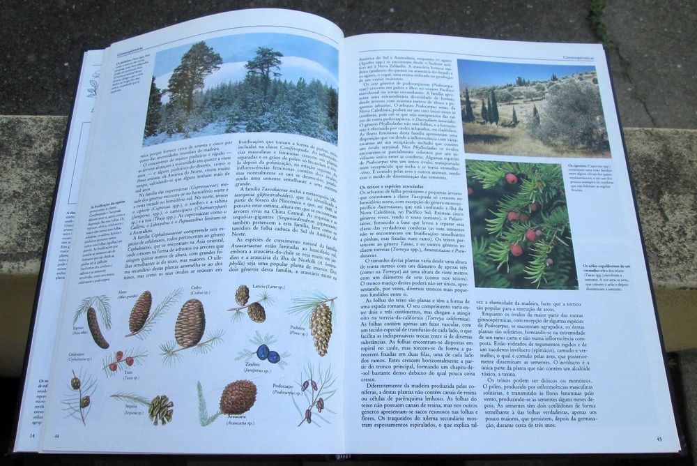 Enciclopédia do Conhecimento ciência e tecnologia, As Plantas