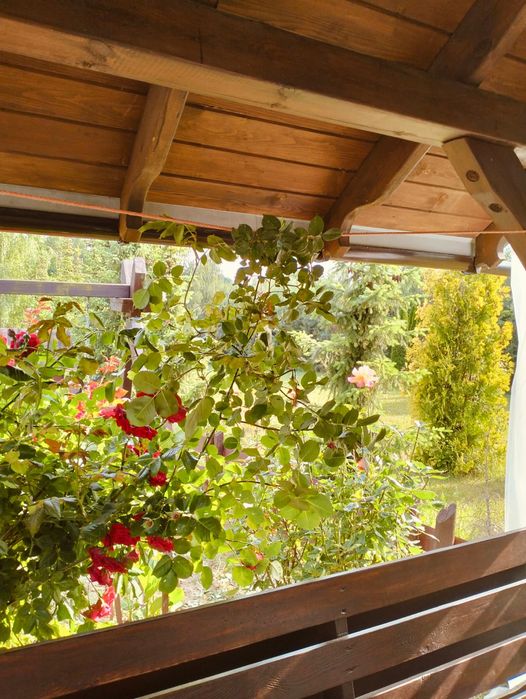 Domek nad jeziorem brodnickie pojezierze