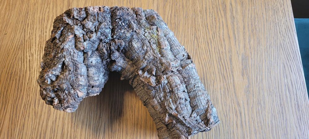 Korzeń do terrarium