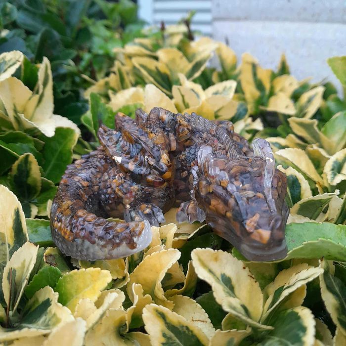 Dragões em pedra semipreciosas