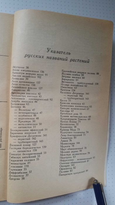 Комнатные растения