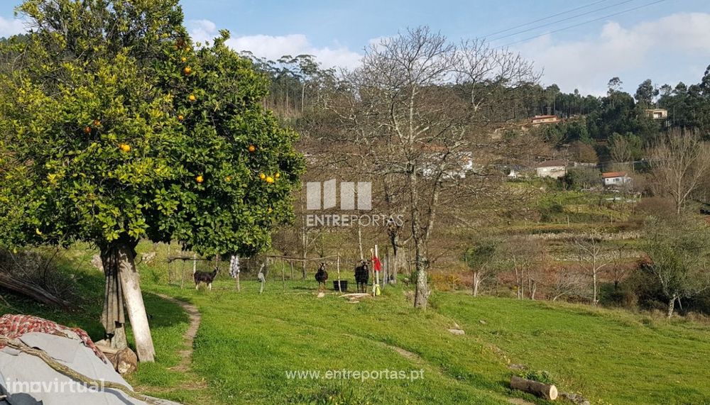 Venda Terreno Urbano, Penha Longa, Marco de Canaveses — Penhalonga E Paços De Gaiolo, Porto