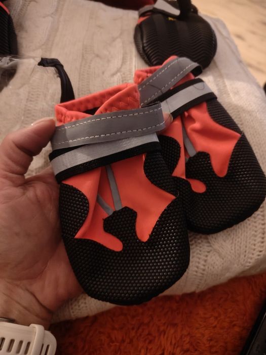 Buty dla psa elawee XL