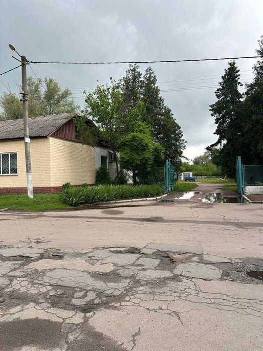 Продаж комерційної нерухомості у центрі смт Олишівка.