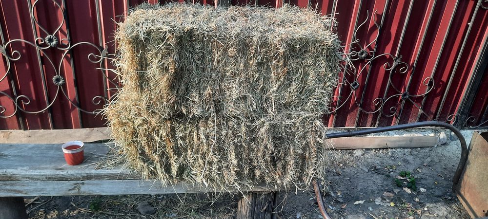 Продам солома ,сіно