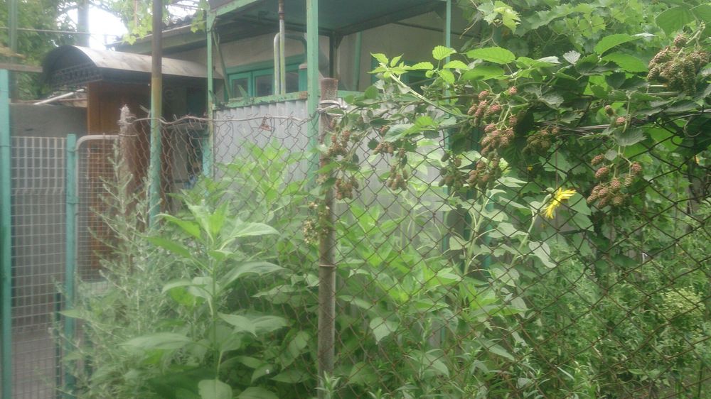 Будинок за адресою вул. Танкістів (площа 56 м²) - Atlanta.ua - фото 12