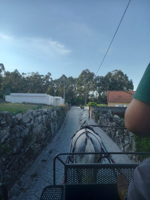 Egua cruzada mansa