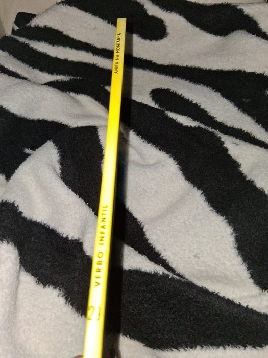 Livro Anita na Montanha