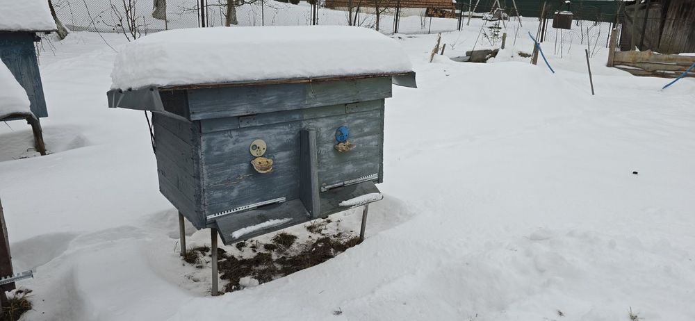 Продаються вулики