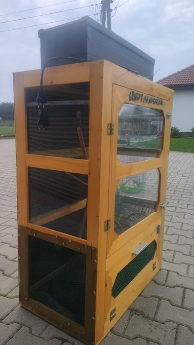 Terrarium dla Gada