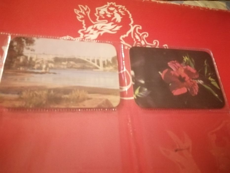 Calendários de bolso (1984) | Vários