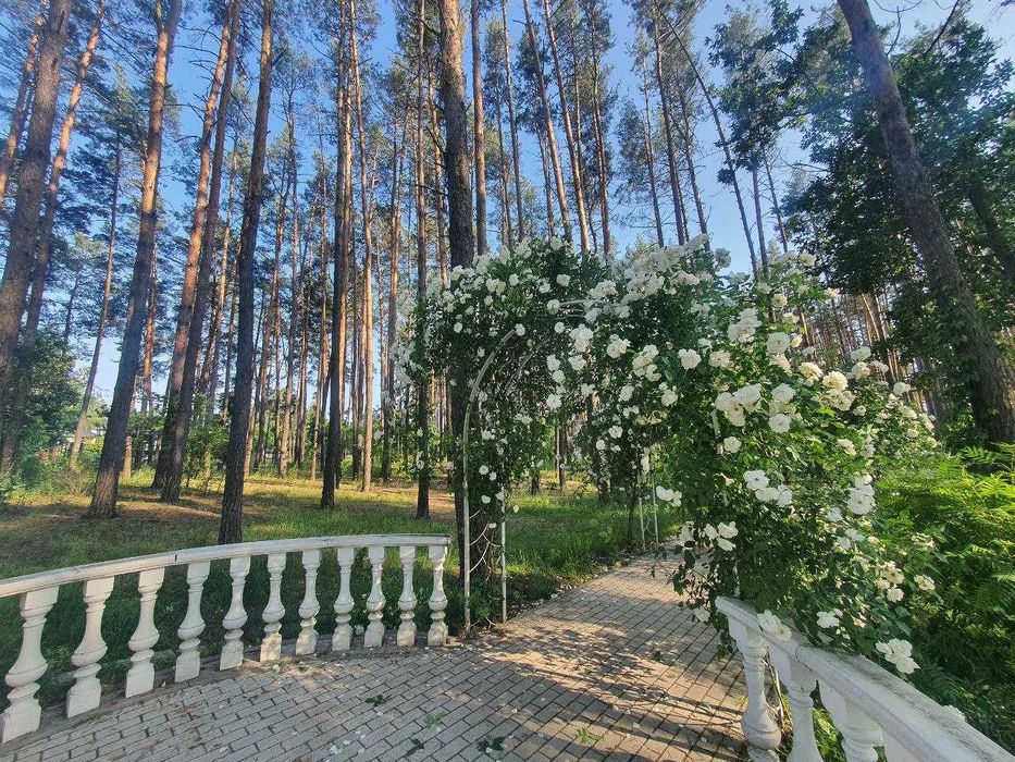 2-кімнатна квартира! Біля ПАРКУ та ЛІСУ! Автономне газове ОПАЛЕННЯ!