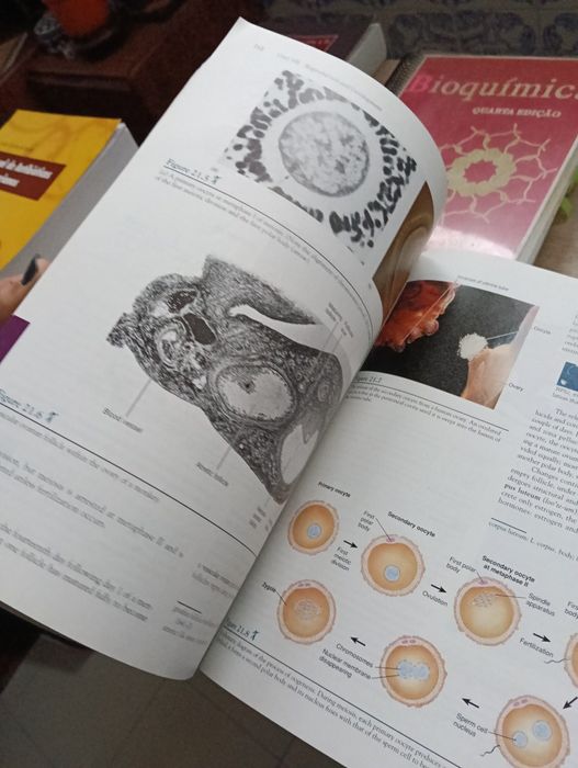 Livro: Human Anatomy – Van De Graaff (5th Edition