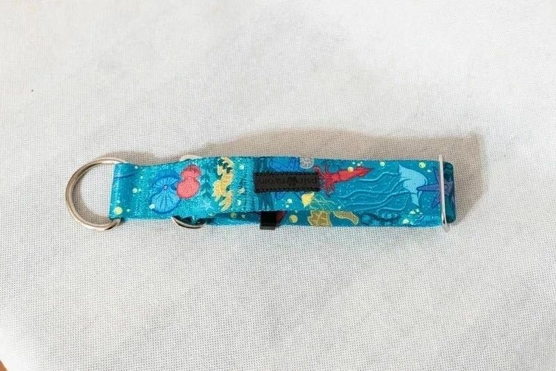 Smycz  obroża półzaciskowa charcia wakacje wzór morski  wakacyjny