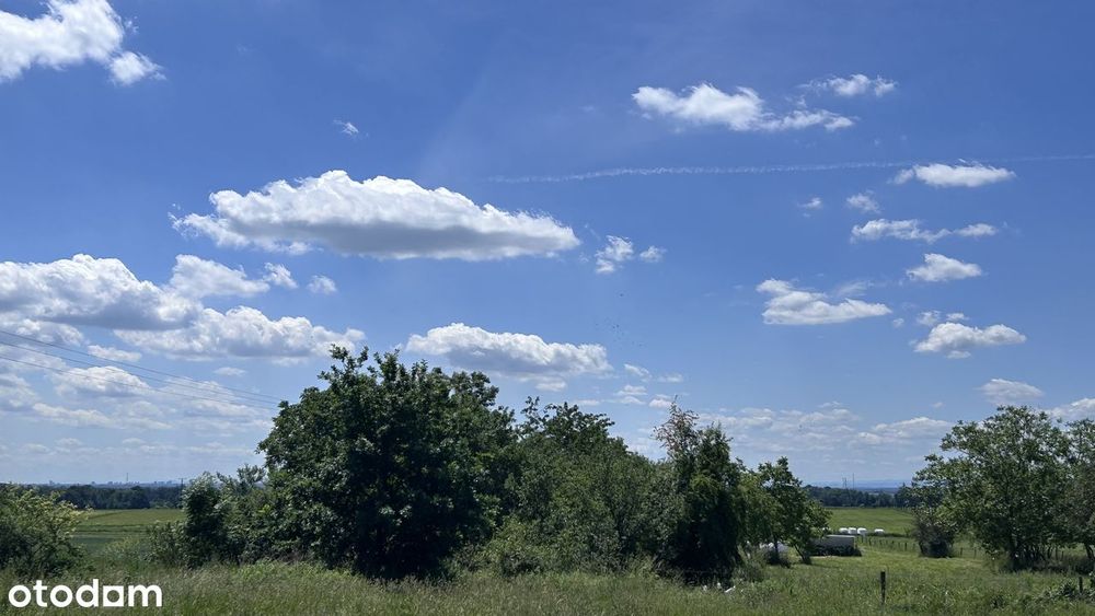 Działka budowlana 272/2, 1319 m², Piotrkowiczki, Trzebnica, S5 Wrocław - Widok 3
