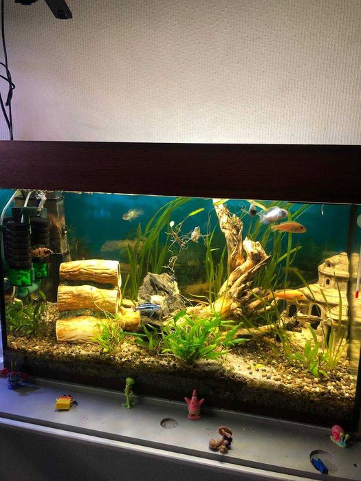 Продам акваріуми прямокутні 24-125л за доступними цінами