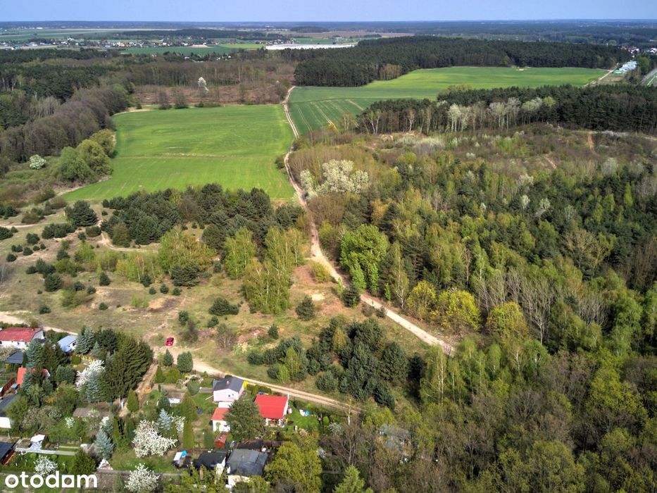 9943 m² z MPZP (20%) - idealna dla inwestora / developera. Przy lesie. - Widok 3