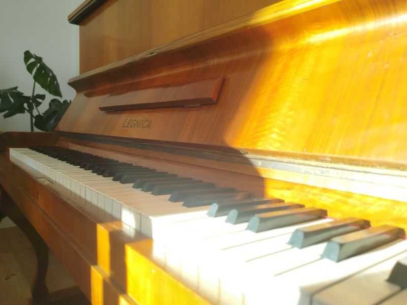 Pianino LEGNICA – solidne, klasyczne | do strojenia