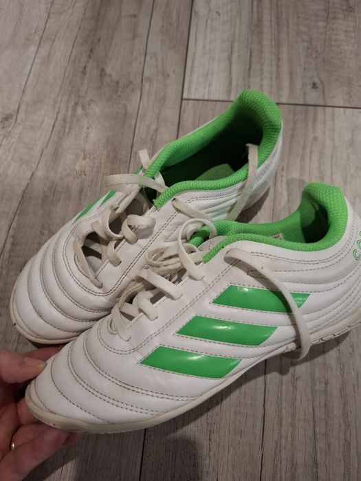 Buty Adidas Copa halówki