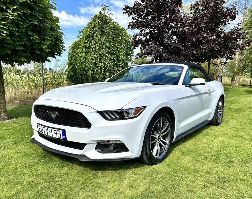 Mustang CABRIO amg camaro mercexws audi RS wynajem wypożyczalnia aut