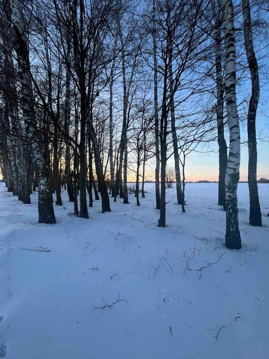 (3) Продам земельну ділянку в Березина 8686