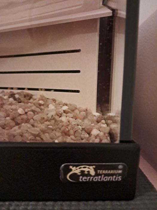 Vendo terrario como novo (2 anos de uso) para tartarugas da Terratlantis.