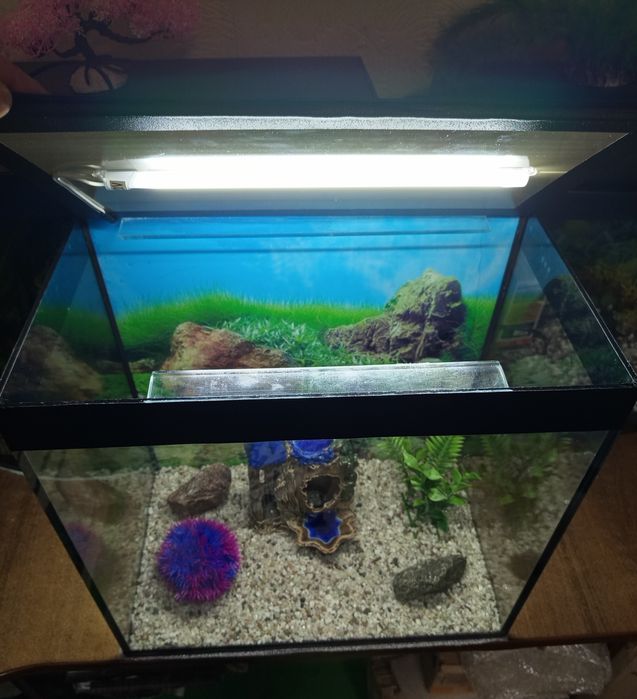 Аквариум 35 литров полный комплект
