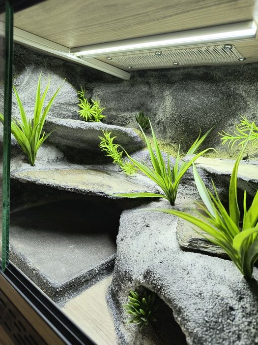 Terrarium 60x40x40