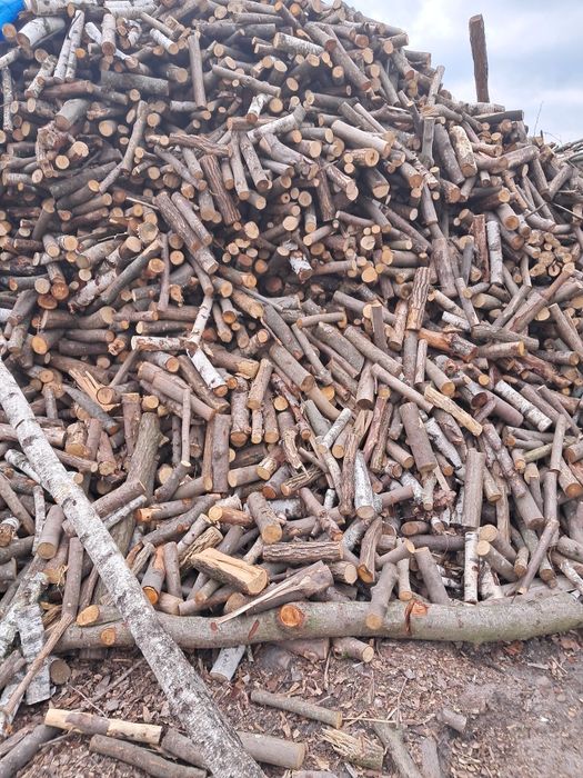 Drewno opałowe/kominkowe z transportem