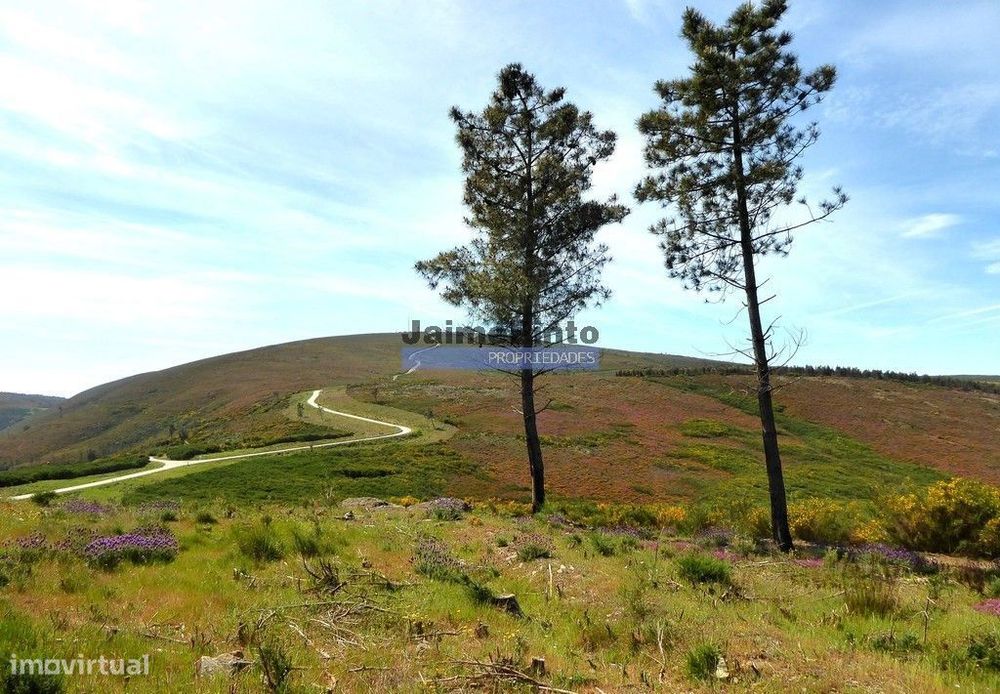 29.000m2 de terreno rústico p/ plantações novas. Portugal, Sabrosa,... — Sabrosa, Vila Real
